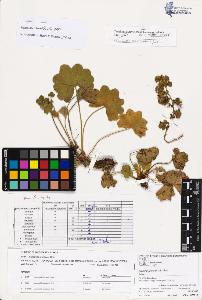 SW_BNB_s3070-03762_IMG-0000000001