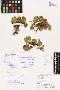 SW_BNB_s3070-03764_IMG-0000000001
