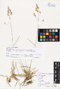 SW_BNB_s3070-03765_IMG-0000000001