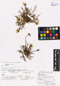 SW_BNB_s3070-03768_IMG-0000000001
