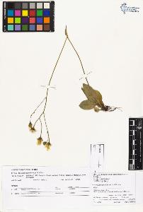 SW_BNB_s3070-03770_IMG-0000000001
