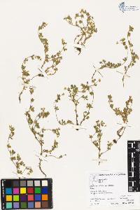 SW_BNB_s3070-03772_IMG-0000000001