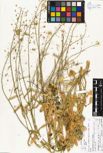 SW_BNB_s3070-03780_IMG-0000000001