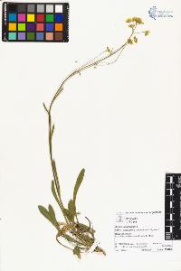 SW_BNB_s3070-03781_IMG-0000000001