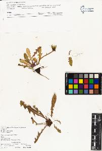 SW_BNB_s3070-03783_IMG-0000000001