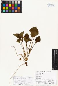 SW_BNB_s3070-03785_IMG-0000000001