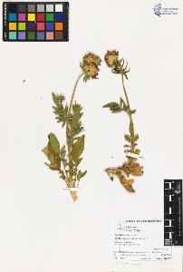 SW_BNB_s3070-03786_IMG-0000000001