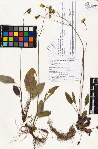 SW_BNB_s3070-03803_IMG-0000000001