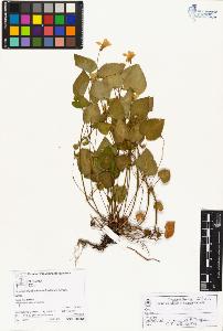 SW_BNB_s3070-03806_IMG-0000000001