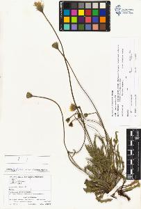 SW_BNB_s3070-03807_IMG-0000000001