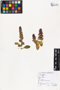 SW_BNB_s3070-03808_IMG-0000000001