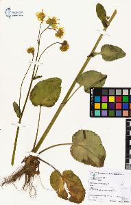 SW_BNB_s3070-03826_IMG-0000000001