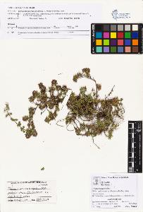 SW_BNB_s3070-03831_IMG-0000000001