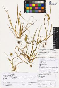 SW_BNB_s3070-03832_IMG-0000000001