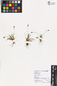 SW_BNB_s3070-03835_IMG-0000000001