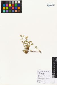 SW_BNB_s3070-03836_IMG-0000000001