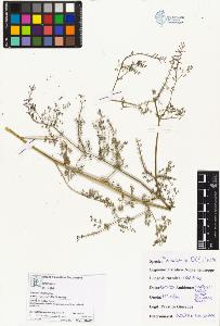 SW_BNB_s3070-03837_IMG-0000000001
