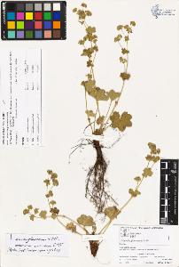 SW_BNB_s3070-03839_IMG-0000000001