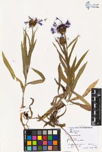 SW_BNB_s3070-03843_IMG-0000000001