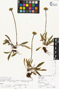 SW_BNB_s3070-03845_IMG-0000000001