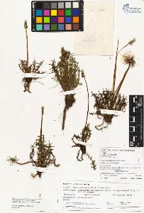 SW_BNB_s3070-03850_IMG-0000000001