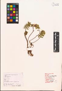 SW_BNB_s3070-03856_IMG-0000000001