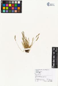 SW_BNB_s3070-03857_IMG-0000000001