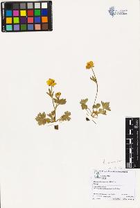 SW_BNB_s3070-03860_IMG-0000000001
