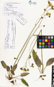 SW_BNB_s3070-03864_IMG-0000000001