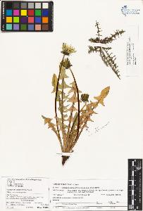 SW_BNB_s3070-03865_IMG-0000000001