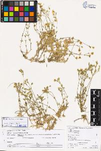 SW_BNB_s3070-03867_IMG-0000000001