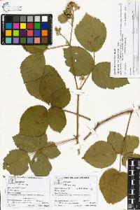 SW_BNB_s3070-03877_IMG-0000000001