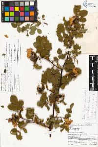 SW_BNB_s3070-03878_IMG-0000000001