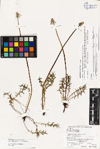 SW_BNB_s3070-03882_IMG-0000000001