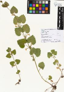 SW_BNB_s3070-03883_IMG-0000000001