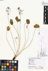 SW_BNB_s3070-03884_IMG-0000000001