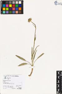 SW_BNB_s3070-03887_IMG-0000000001