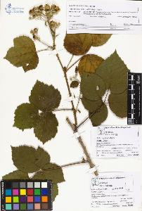 SW_BNB_s3070-03891_IMG-0000000001