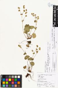 SW_BNB_s3070-03894_IMG-0000000001