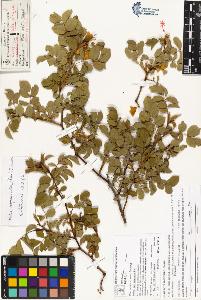 SW_BNB_s3070-03901_IMG-0000000001
