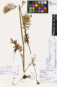 SW_BNB_s3070-03903_IMG-0000000001