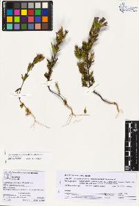 SW_BNB_s3070-03904_IMG-0000000001