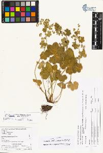 SW_BNB_s3070-03906_IMG-0000000001