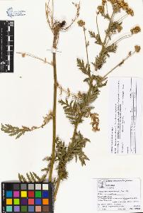 SW_BNB_s3070-03909_IMG-0000000001