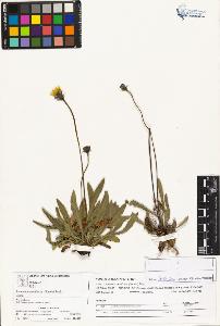 SW_BNB_s3070-03913_IMG-0000000001