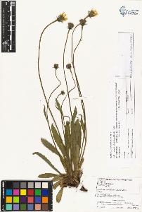 SW_BNB_s3070-03914_IMG-0000000001