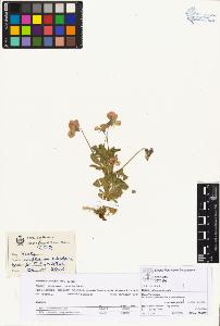 SW_BNB_s3070-03919_IMG-0000000001