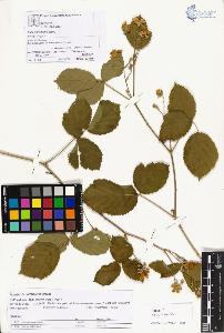 SW_BNB_s3070-03921_IMG-0000000001