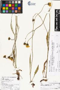 SW_BNB_s3070-03927_IMG-0000000001