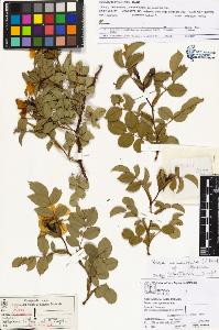 SW_BNB_s3070-03928_IMG-0000000001